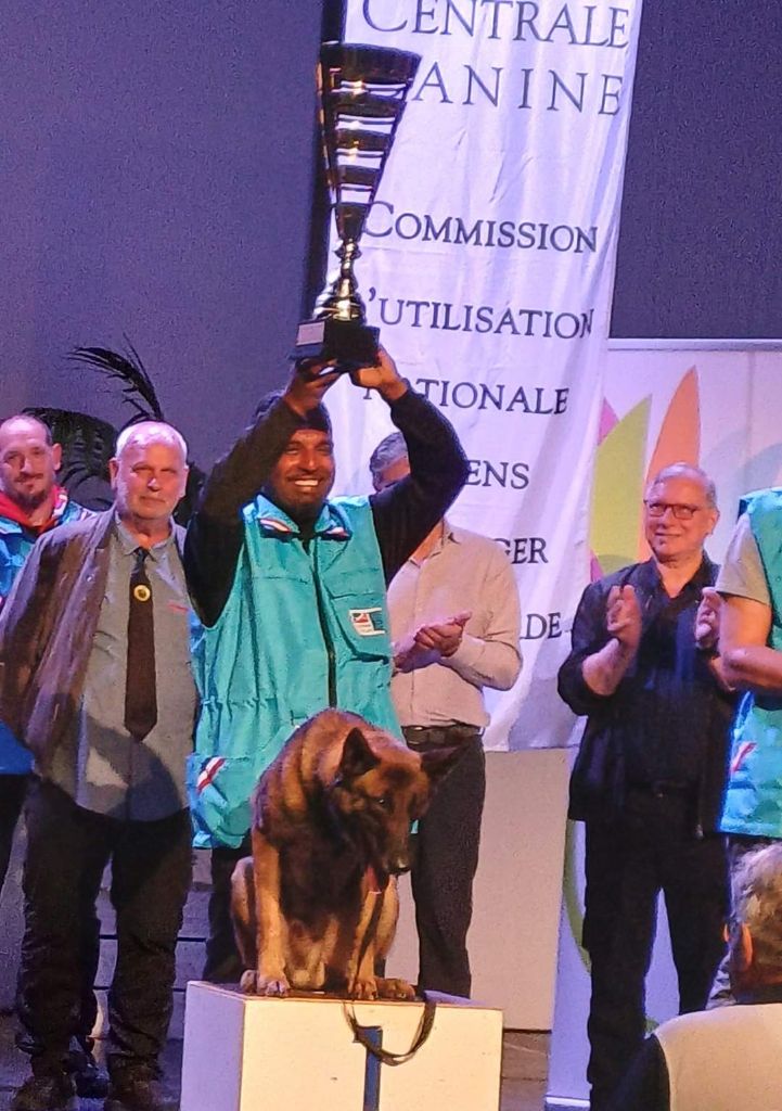 Ninja du Chateau de Boxie