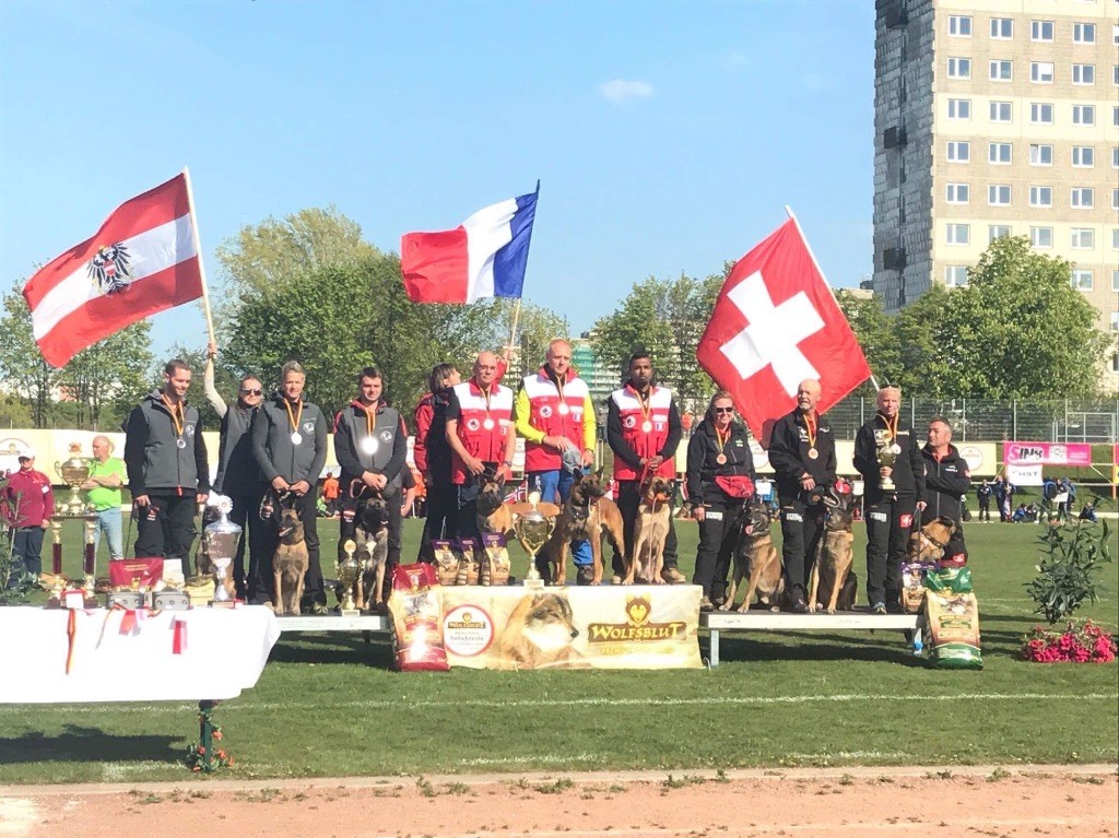 Mes chiens en concours